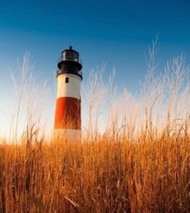 Nantucket Cannabis